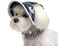 Nowa kolekcja kapeluszy dla psów