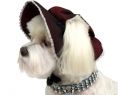 Nowa kolekcja kapeluszy dla psów
